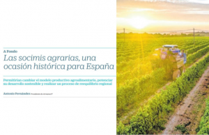 Lee más sobre el artículo Las socimi agrarias, una ocasión histórica para España
