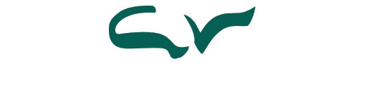 Logotipo cv
